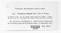 Uromyces geranii image